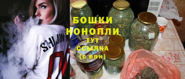 сатива Армянск