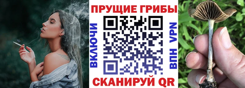 hydra ONION  Мосальск  Псилоцибиновые грибы Magic Shrooms  где купить наркотик 